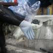 Transmission Oil Retaining Glove